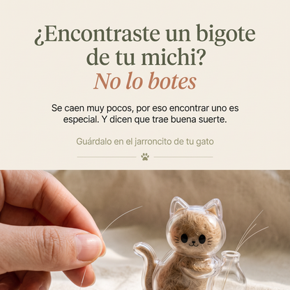 Recuerdo Felino