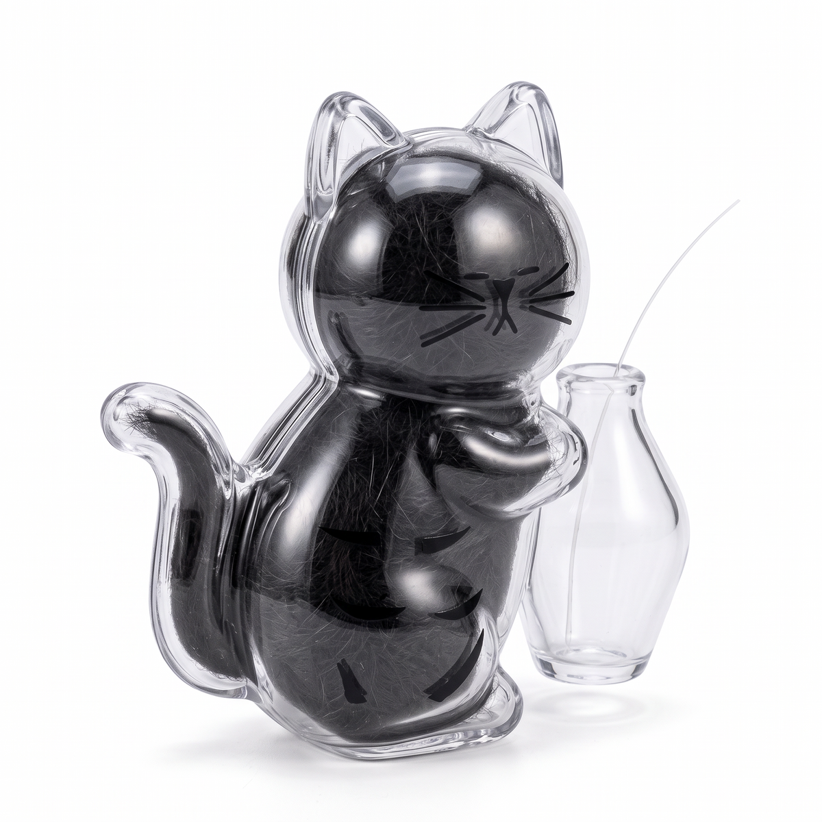 Recuerdo Felino
